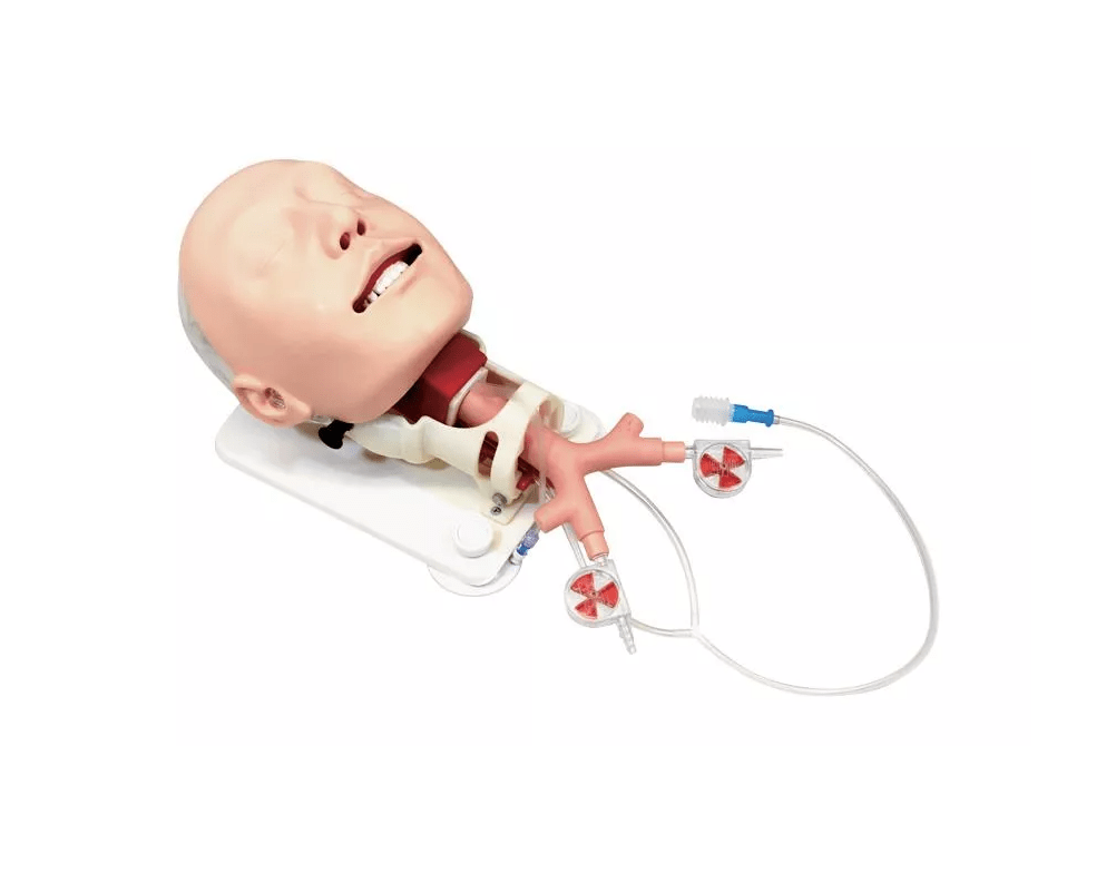 Demonstrationsmodell schwieriges Atemwegsmanagement - Erler - Zimmer